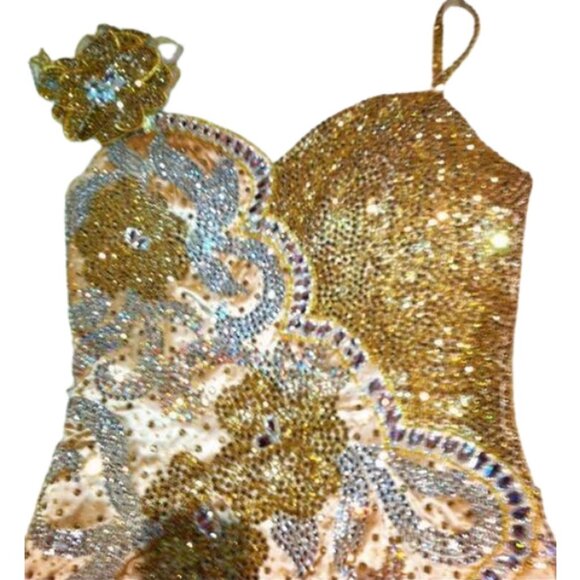 Luxury Couture Swarovski Crystals Runway Fringes Flowers Cocktail Glamour Dress - Picture 1 of 12